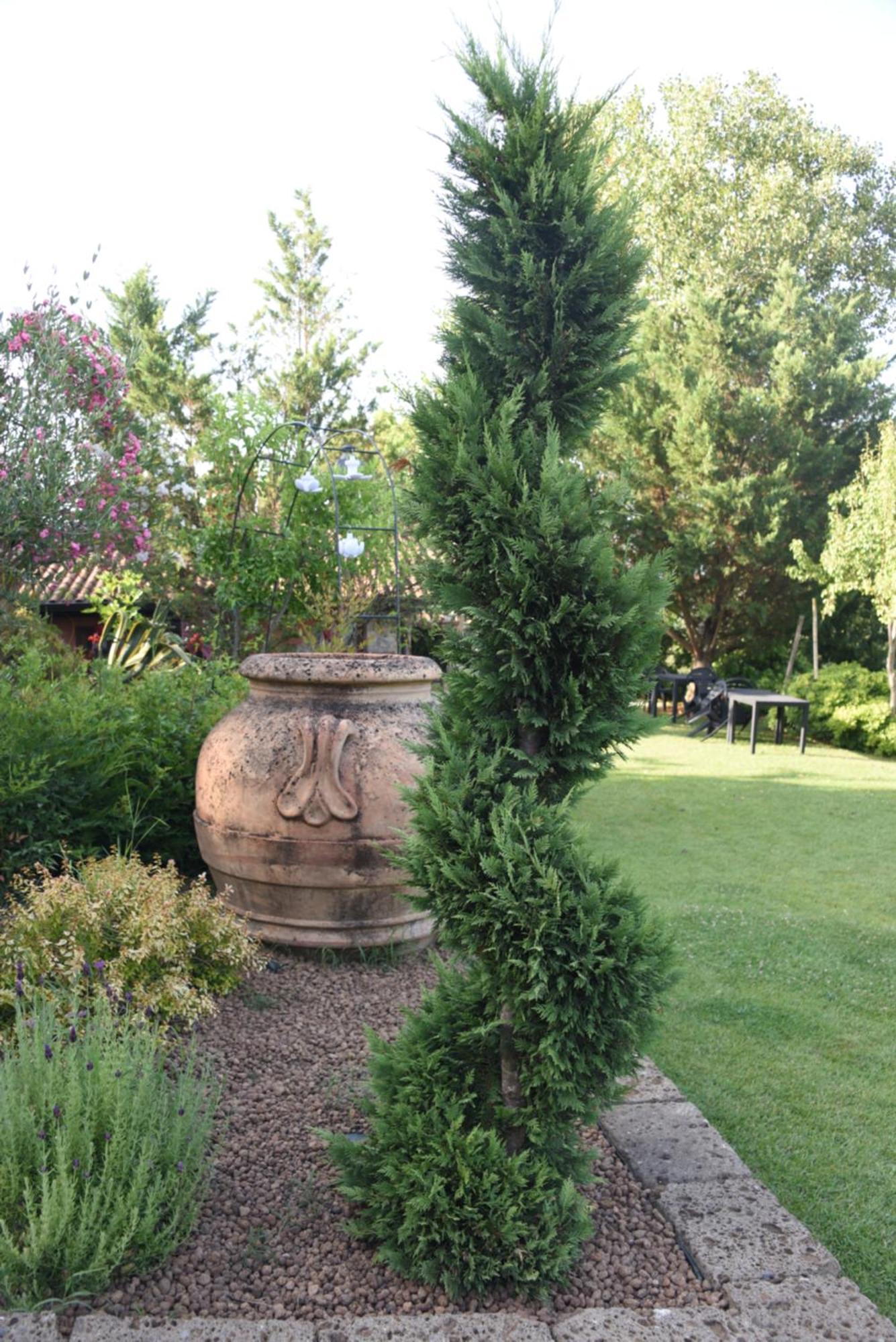 Bosco D'Olmi Country House Sant'Andrea del Garigliano Eksteriør billede